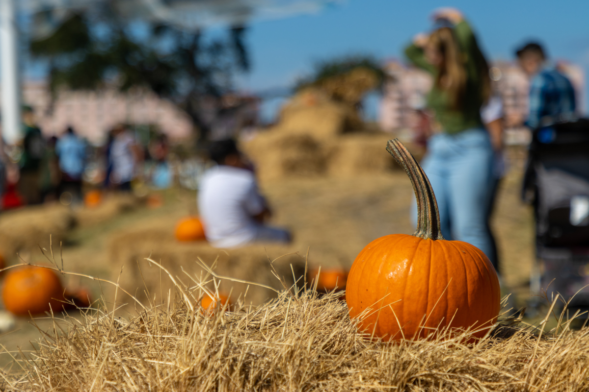 Lakeside students fall in love with the joys of the season