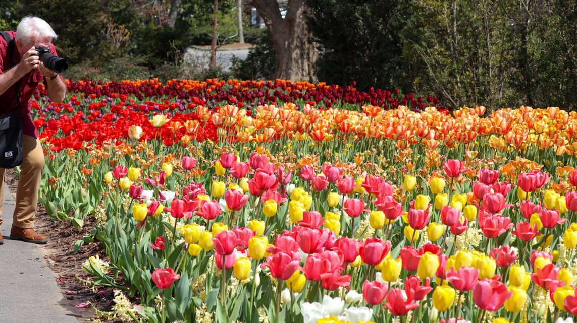 Atlanta Botanical Garden’s SUPER BLOOM Event
